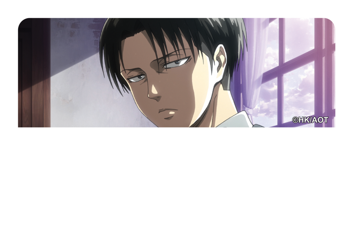 Levi - Card Covers - Attack on Titan - CUCU Covers