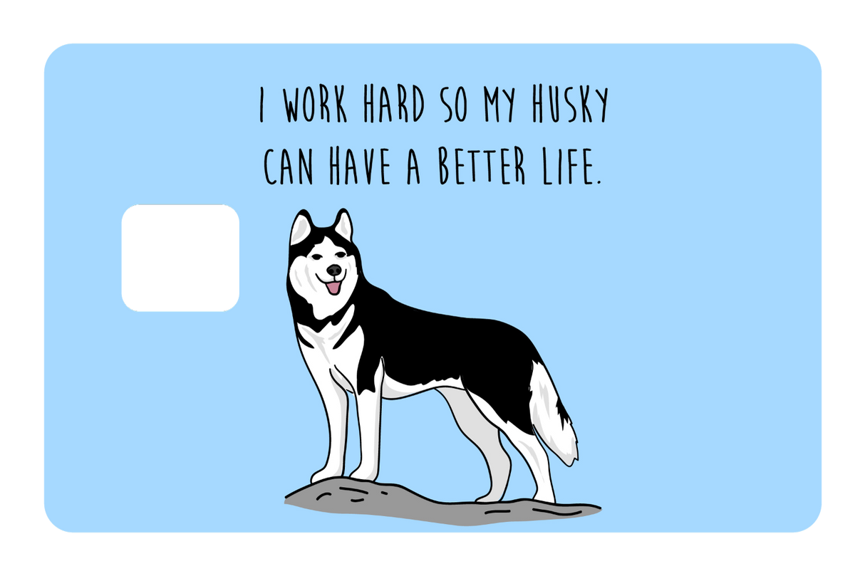 Husky can have a better life