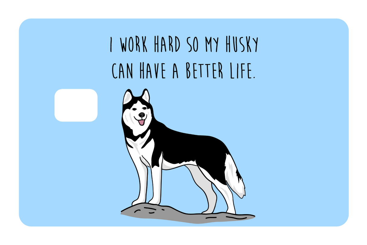 Husky can have a better life