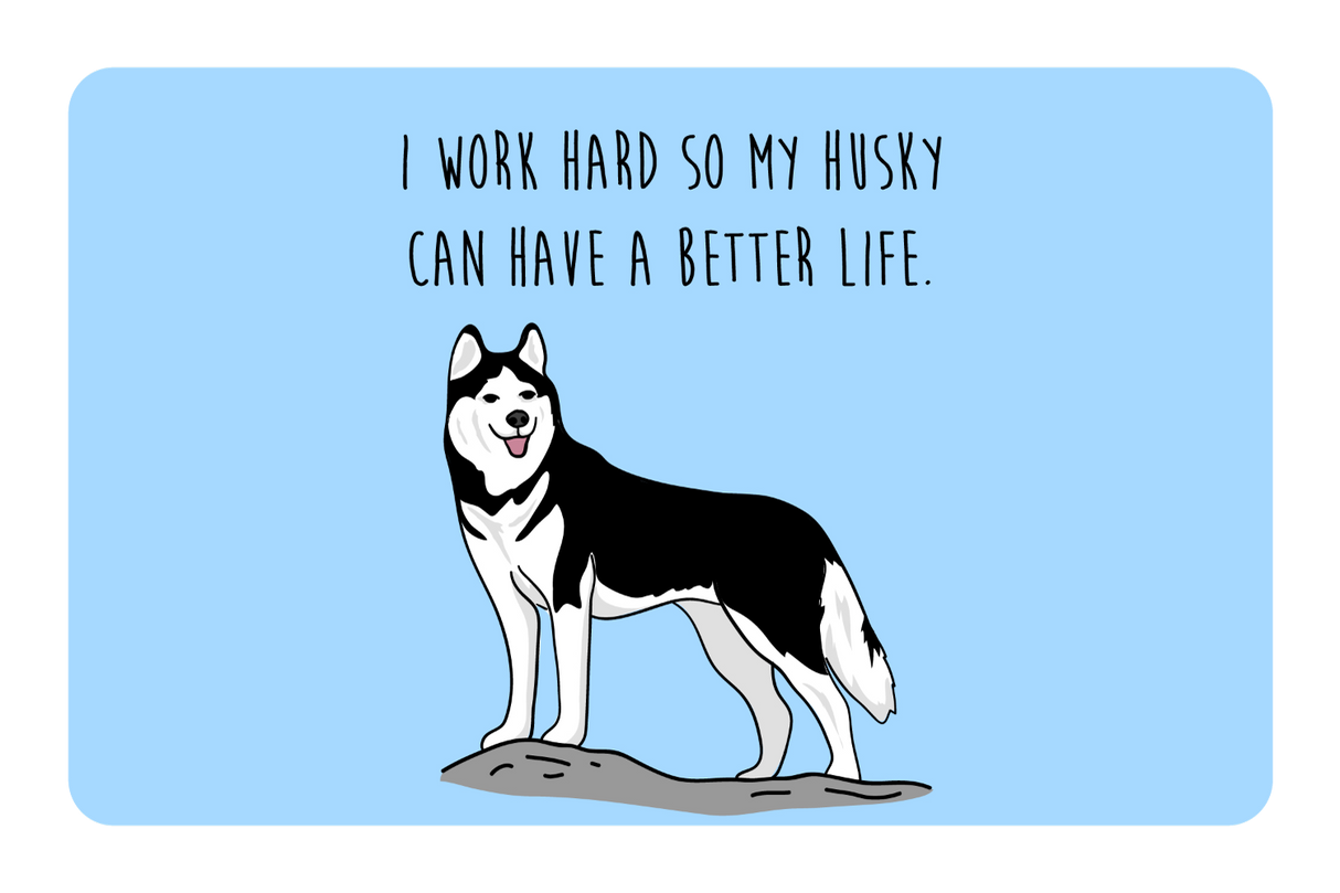 Husky can have a better life