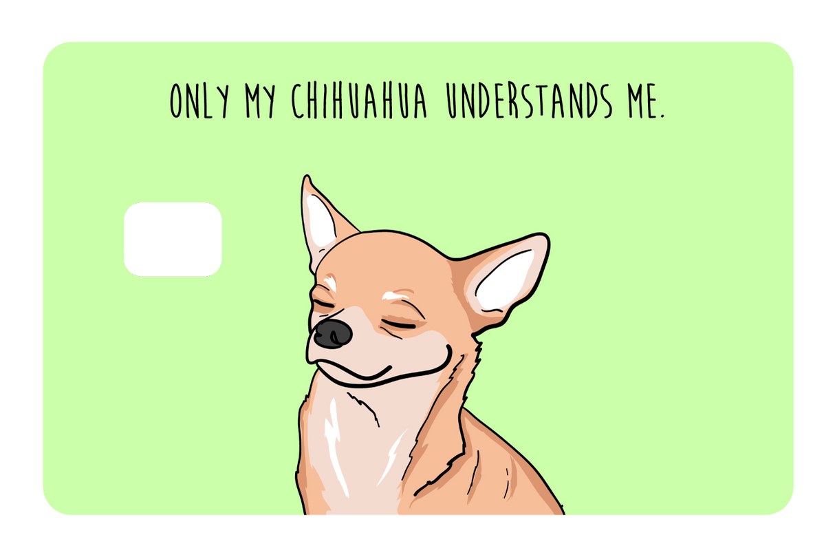 Only my Chihuahua understands me