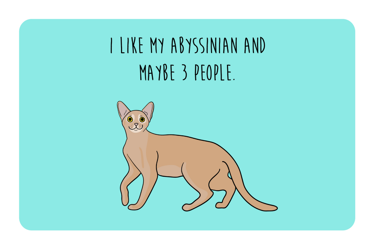 I like my Abyssinian and maybe 3 people