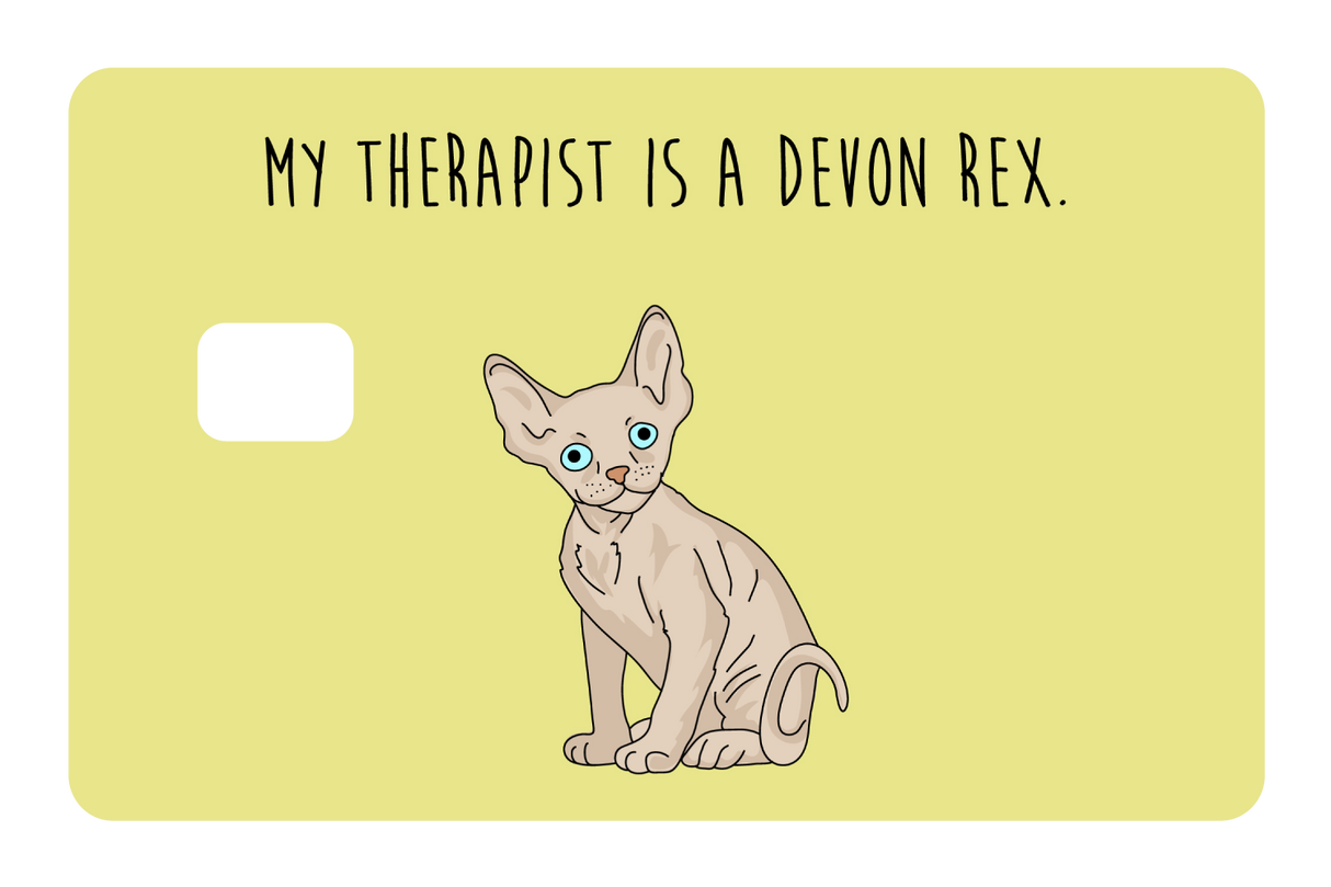 My therapist is a Devon Rex