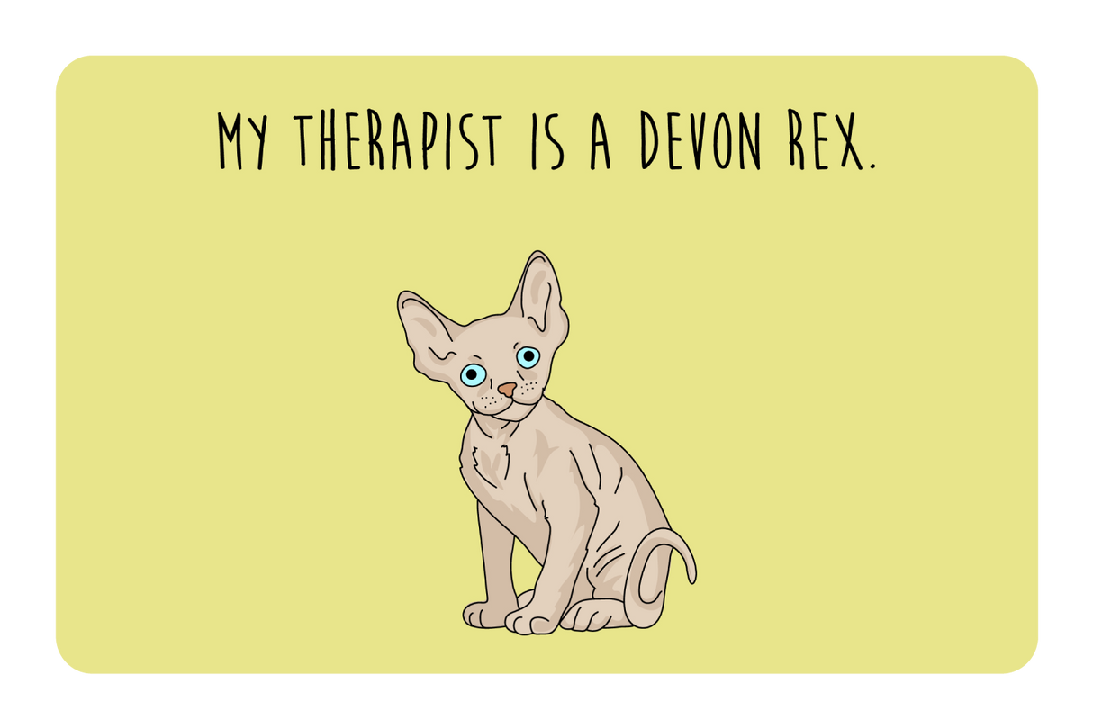 My therapist is a Devon Rex