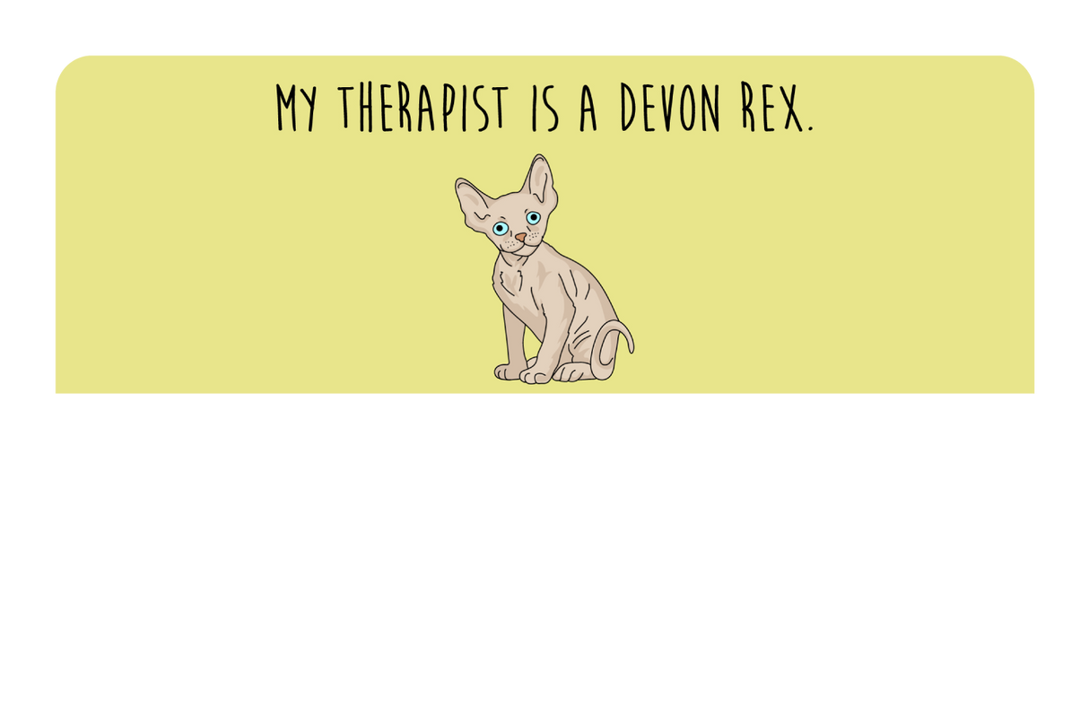 My therapist is a Devon Rex