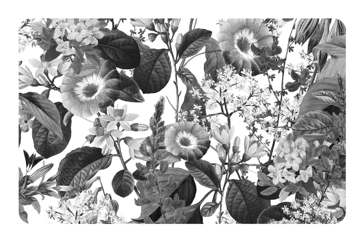 Black and White Floral