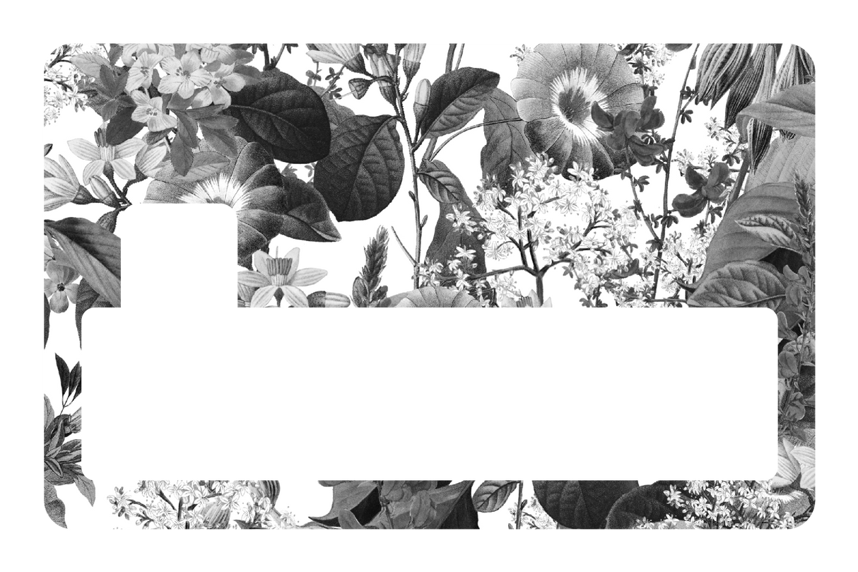 Black and White Floral