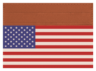 USA Flag