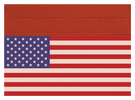 USA Flag