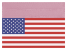 USA Flag