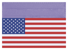 USA Flag