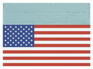 USA Flag