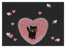 Capricorn cat love