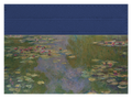 Water Lillies