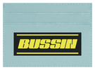 Bussin