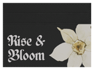 Rise & Bloom