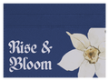 Rise & Bloom