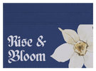 Rise & Bloom