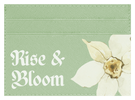 Rise & Bloom