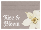 Rise & Bloom