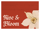 Rise & Bloom