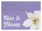 Rise & Bloom