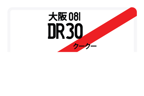 DR30