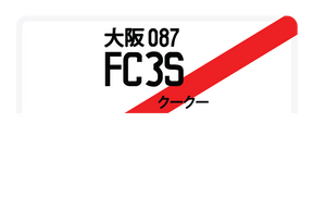 FC3S
