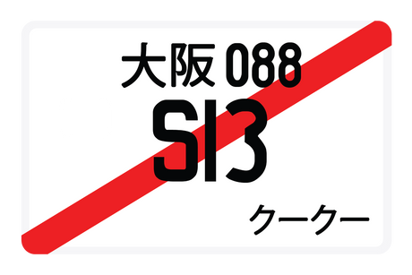 S13