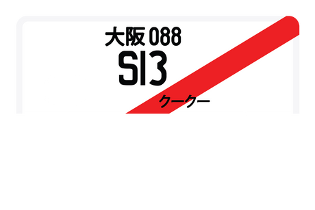 S13