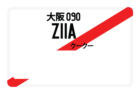 Z11A