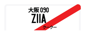 Z11A