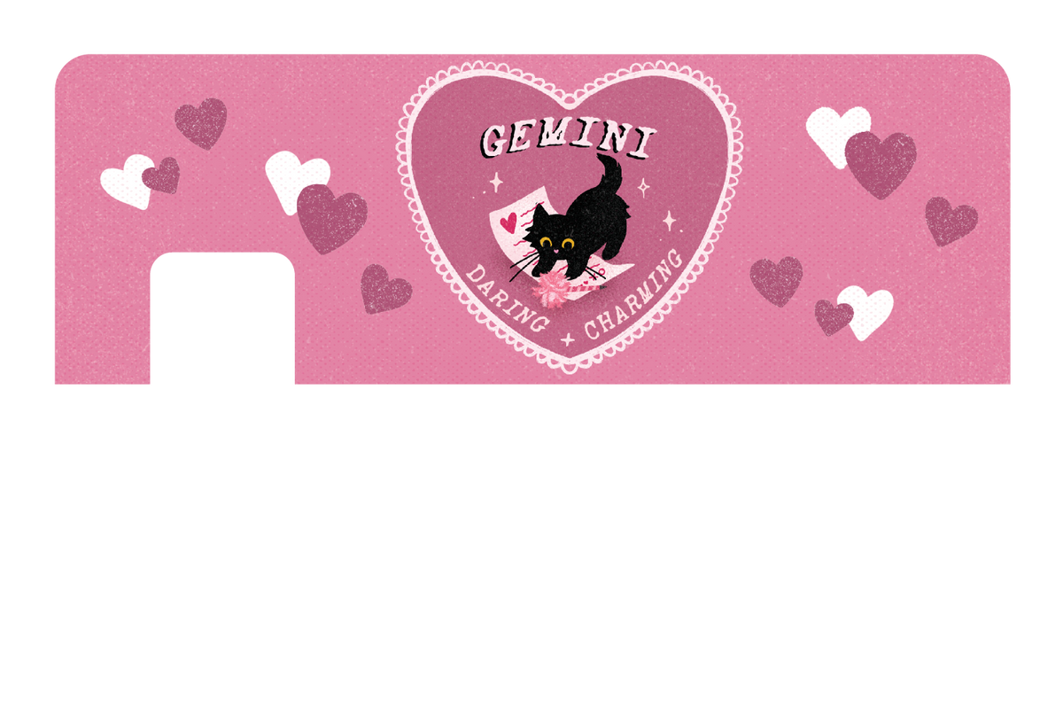 Gemini cat love