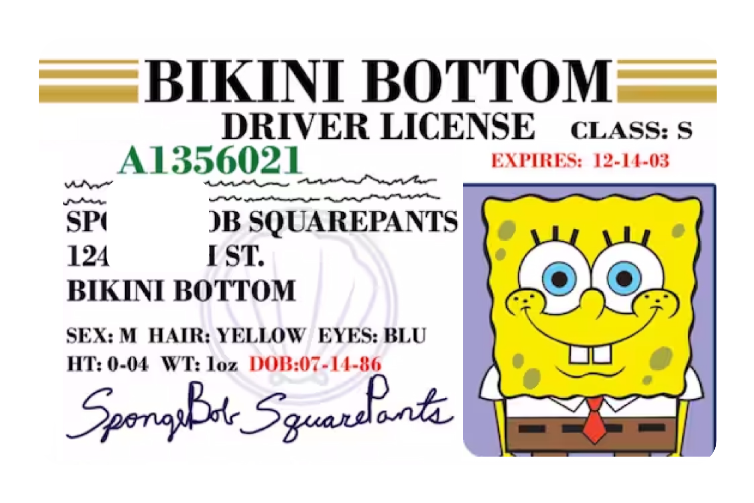 Bob License