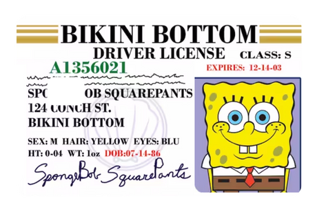 Bob License