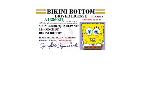 Bob License