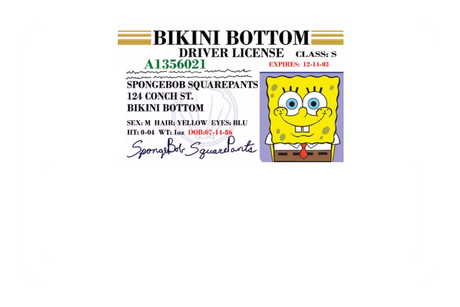 Bob License