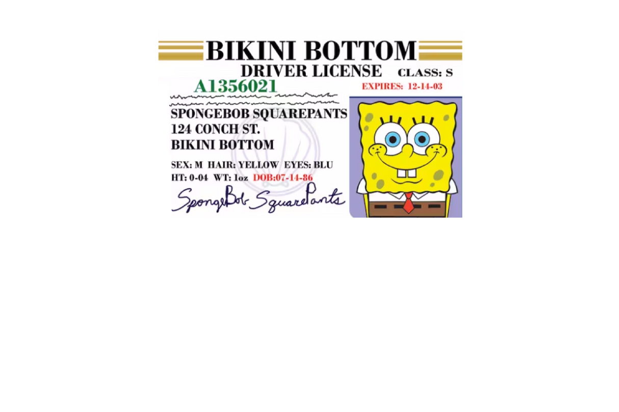 Bob License