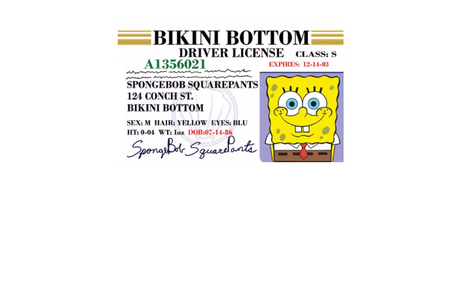 Bob License