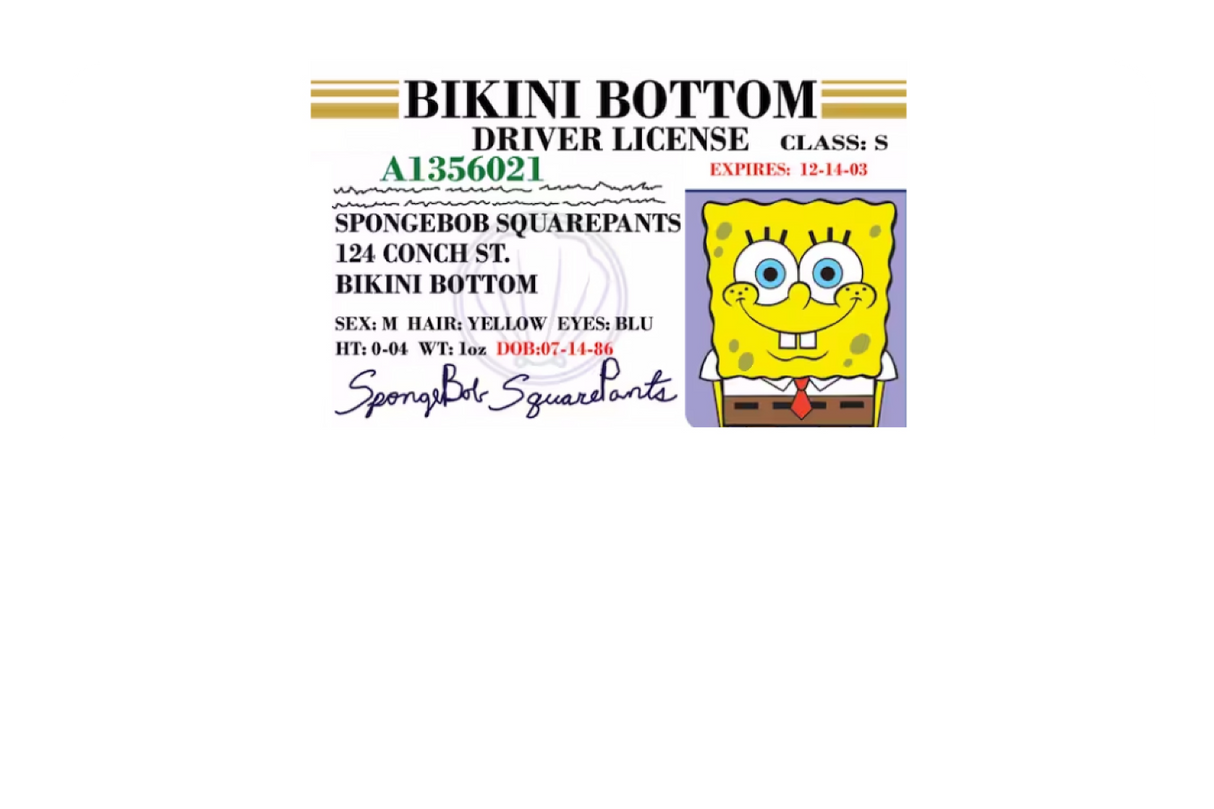 Bob License