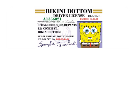 Bob License