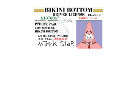 Patrick License