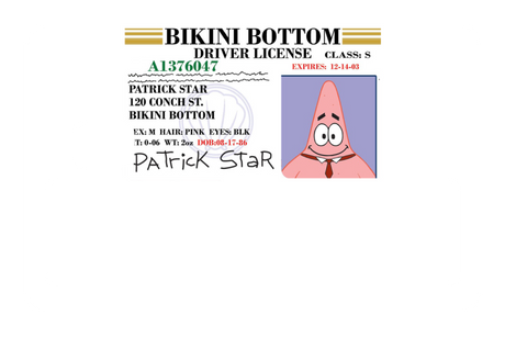 Patrick License