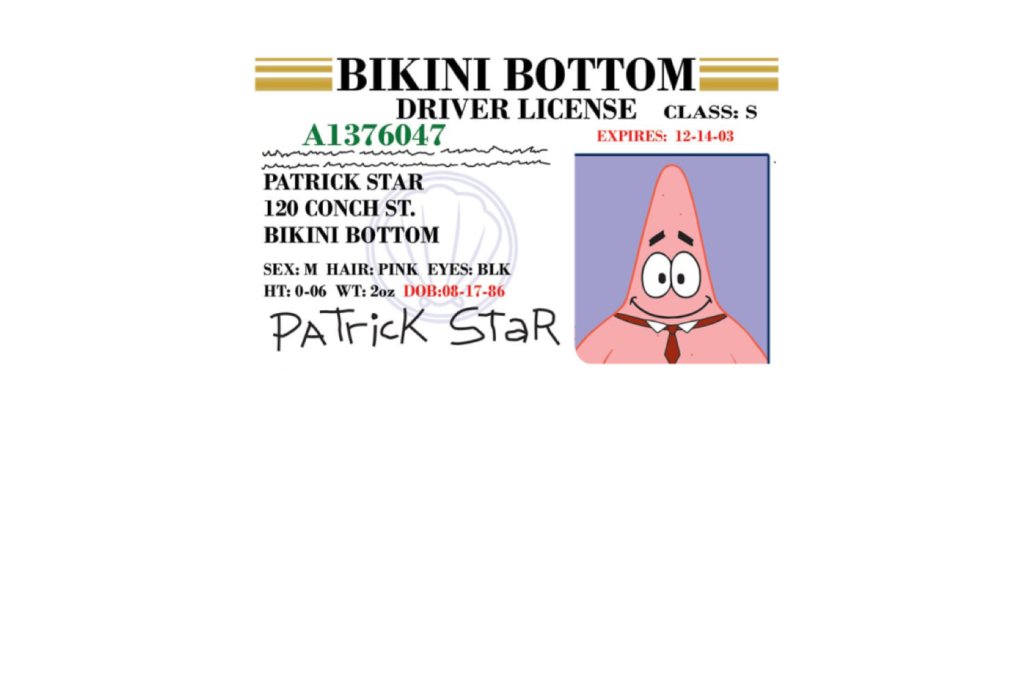 Patrick License