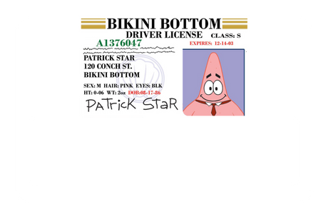 Patrick License