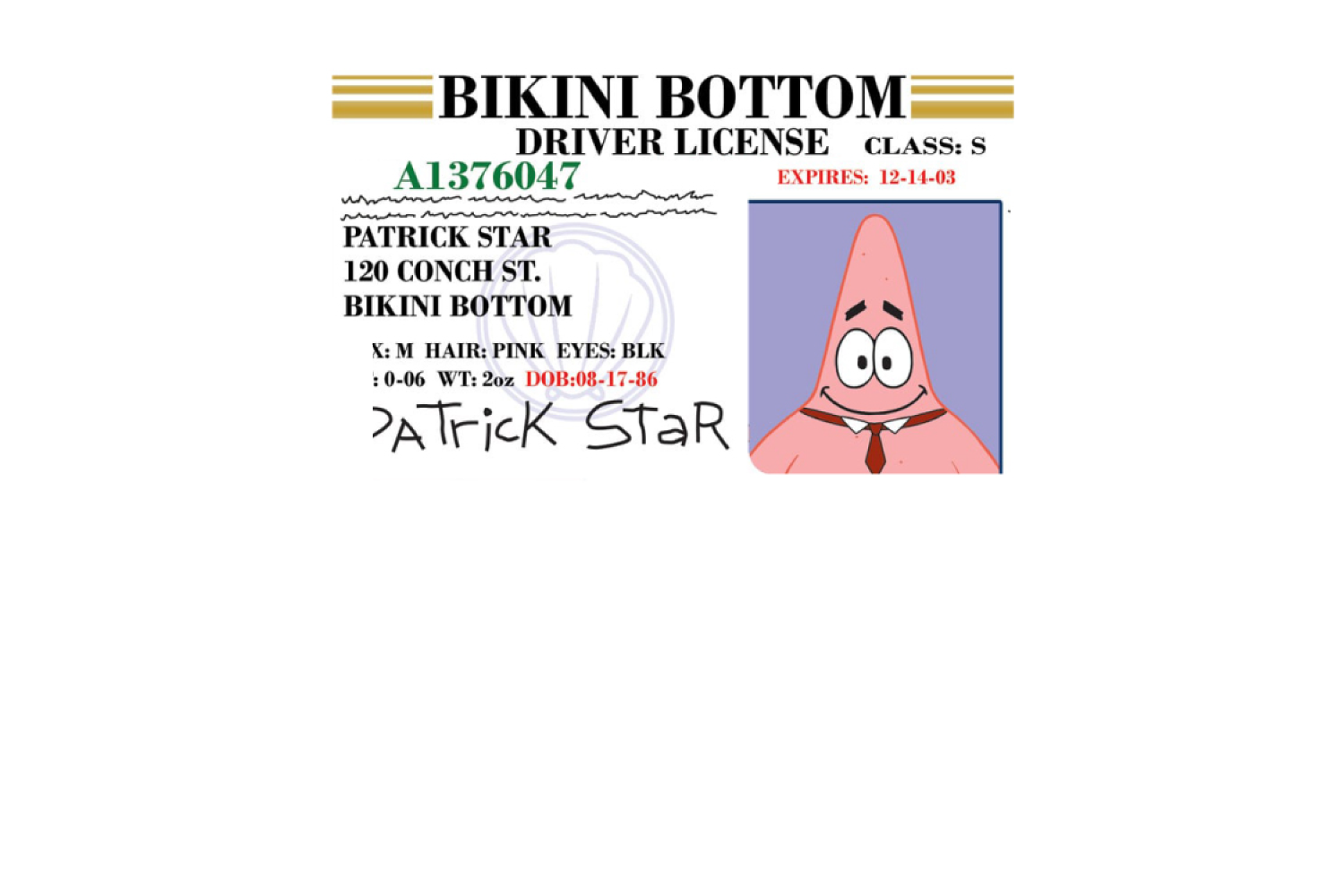 Patrick License