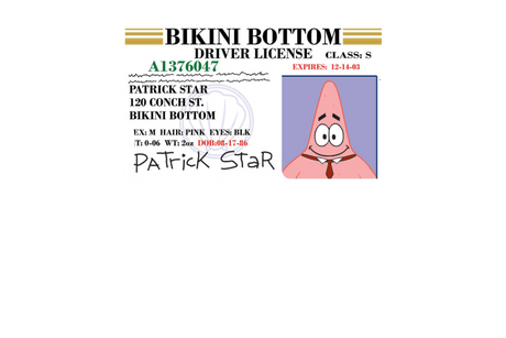 Patrick License