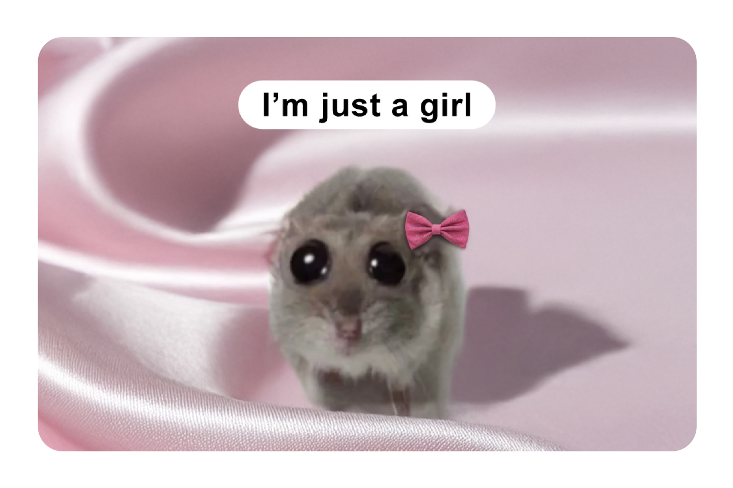 I'm Just a Girl