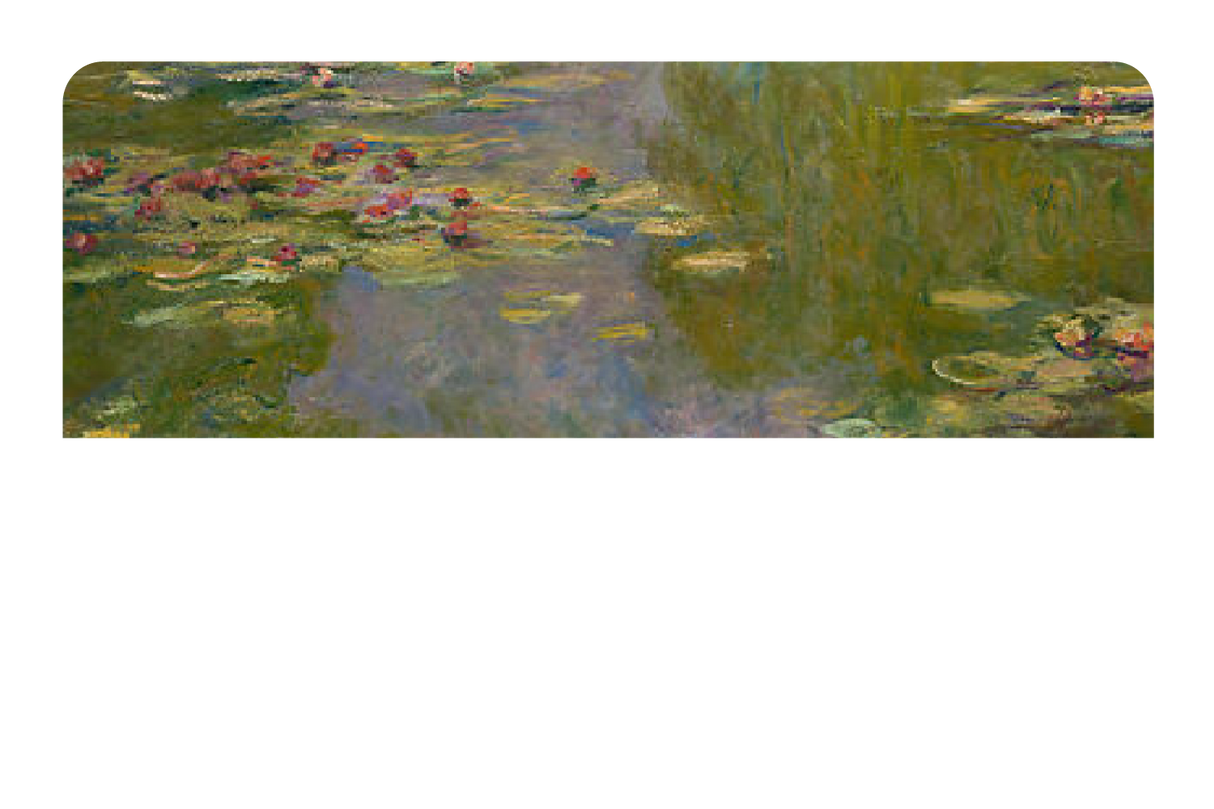 Water Lilies