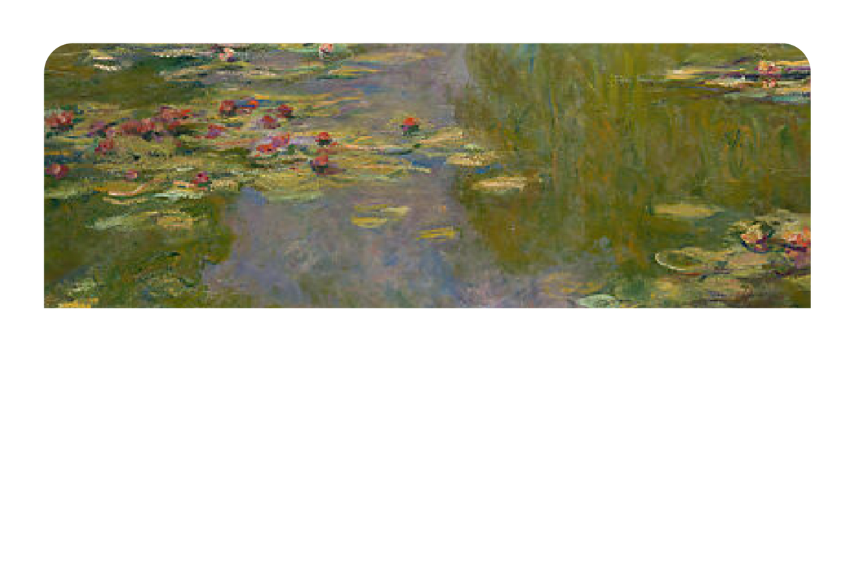 Water Lilies